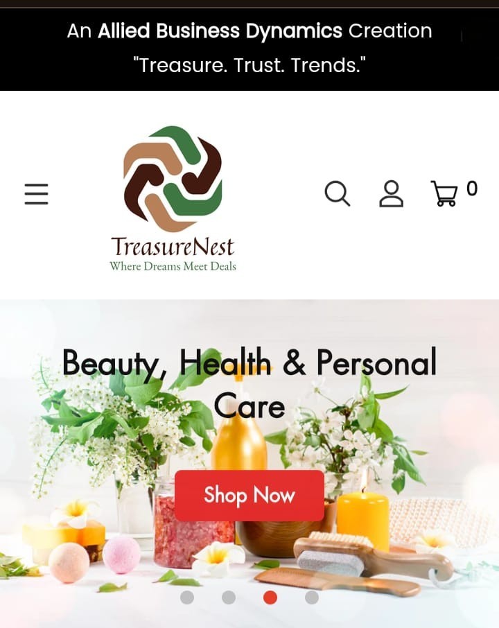 TreasureNest Online shopping